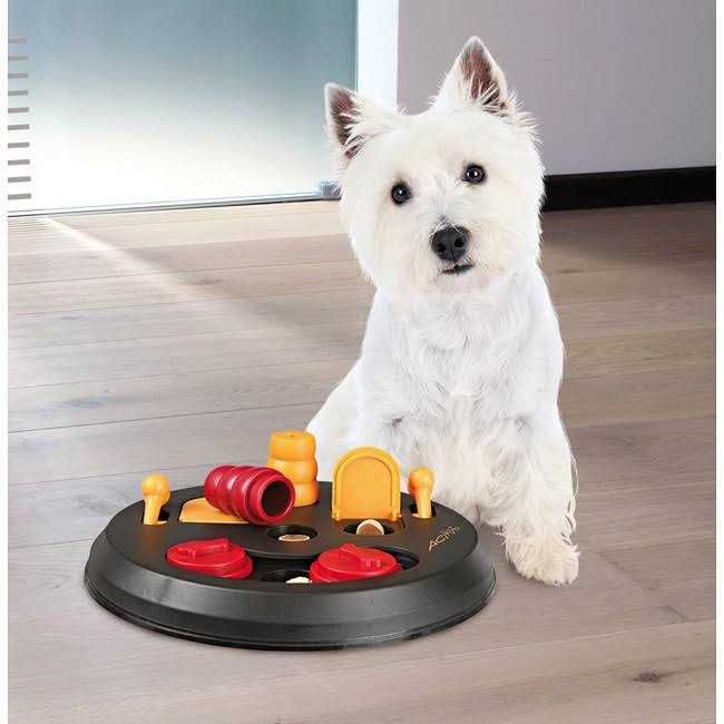Trixie Flip Board Dog Game - Healthber