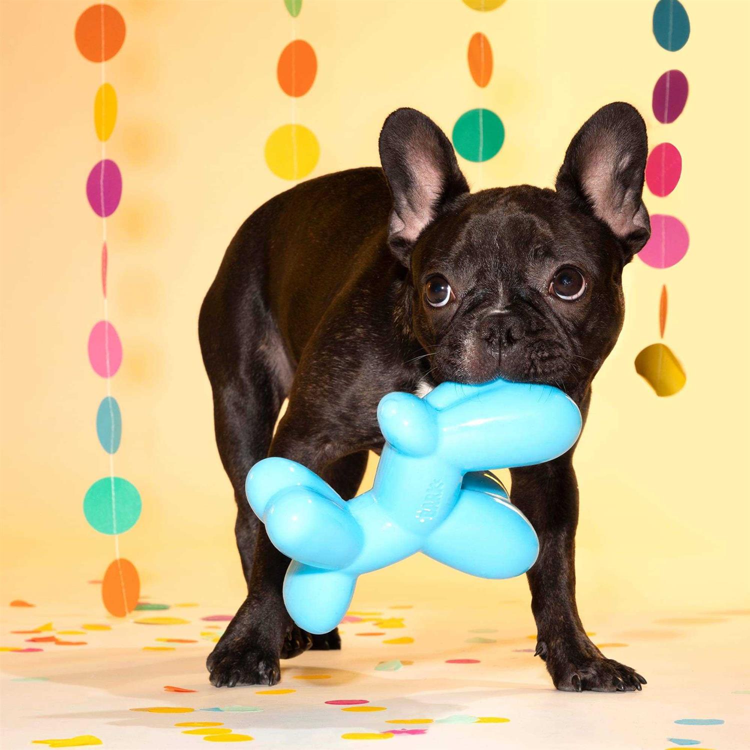 BARK Super Chewer Bob The Balloon Dog Toy - Healthber