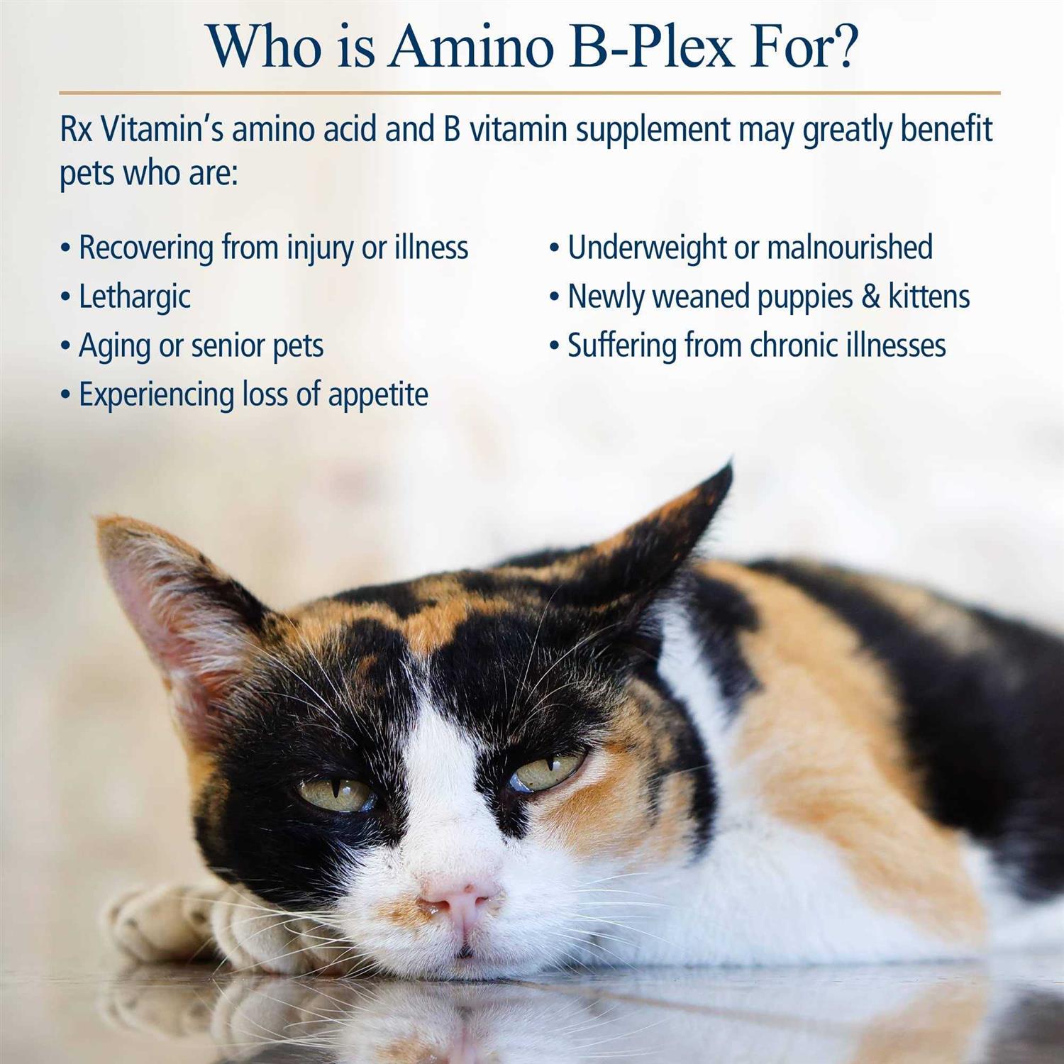 Rx Vitamins Amino B-Plex for Pets - Healthber