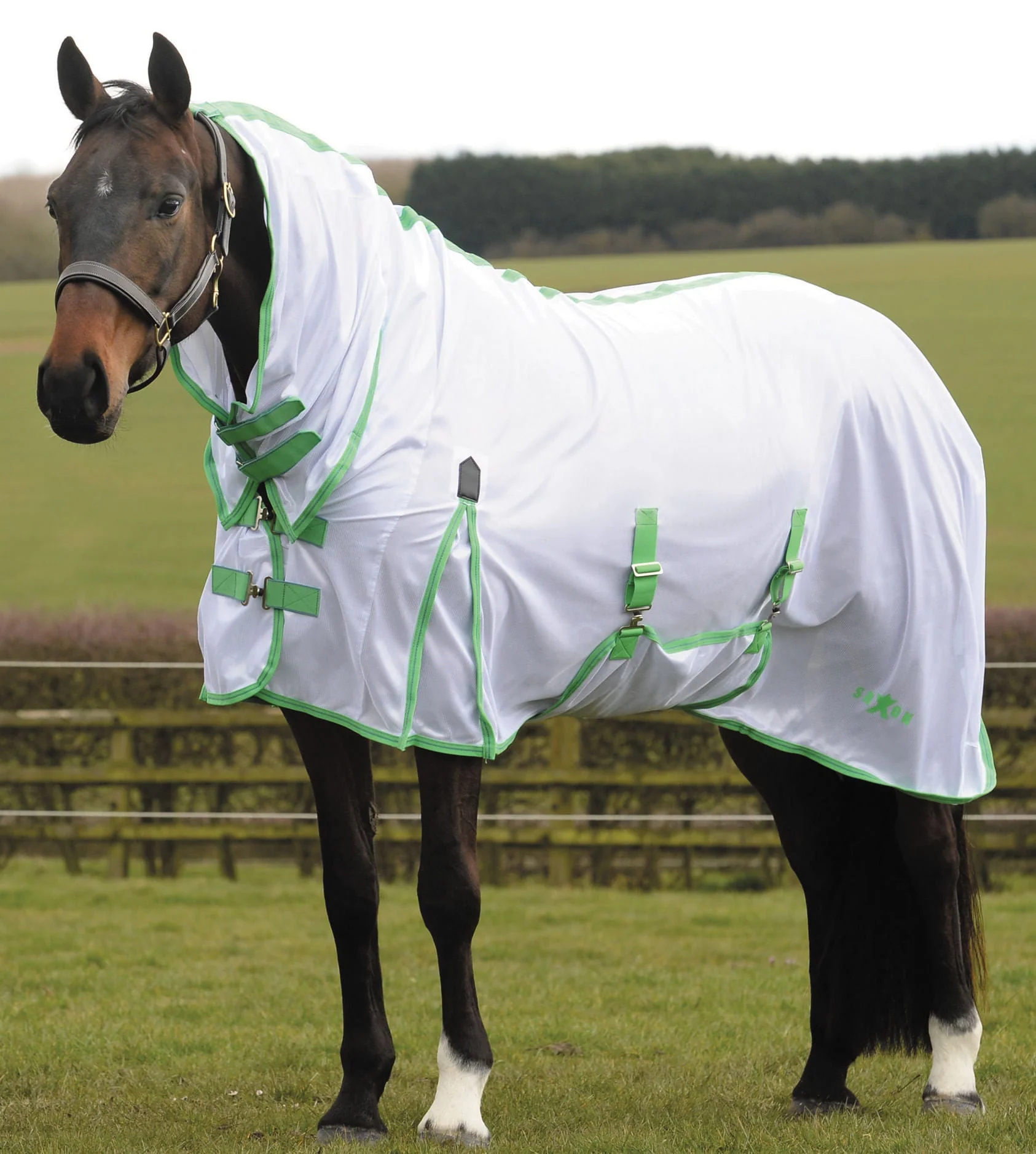 Saxon Combo Neck Mesh Horse Fly Sheet - Healthber