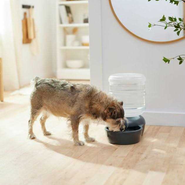 Frisco Wide Mouth Gravity Waterer - Healthber