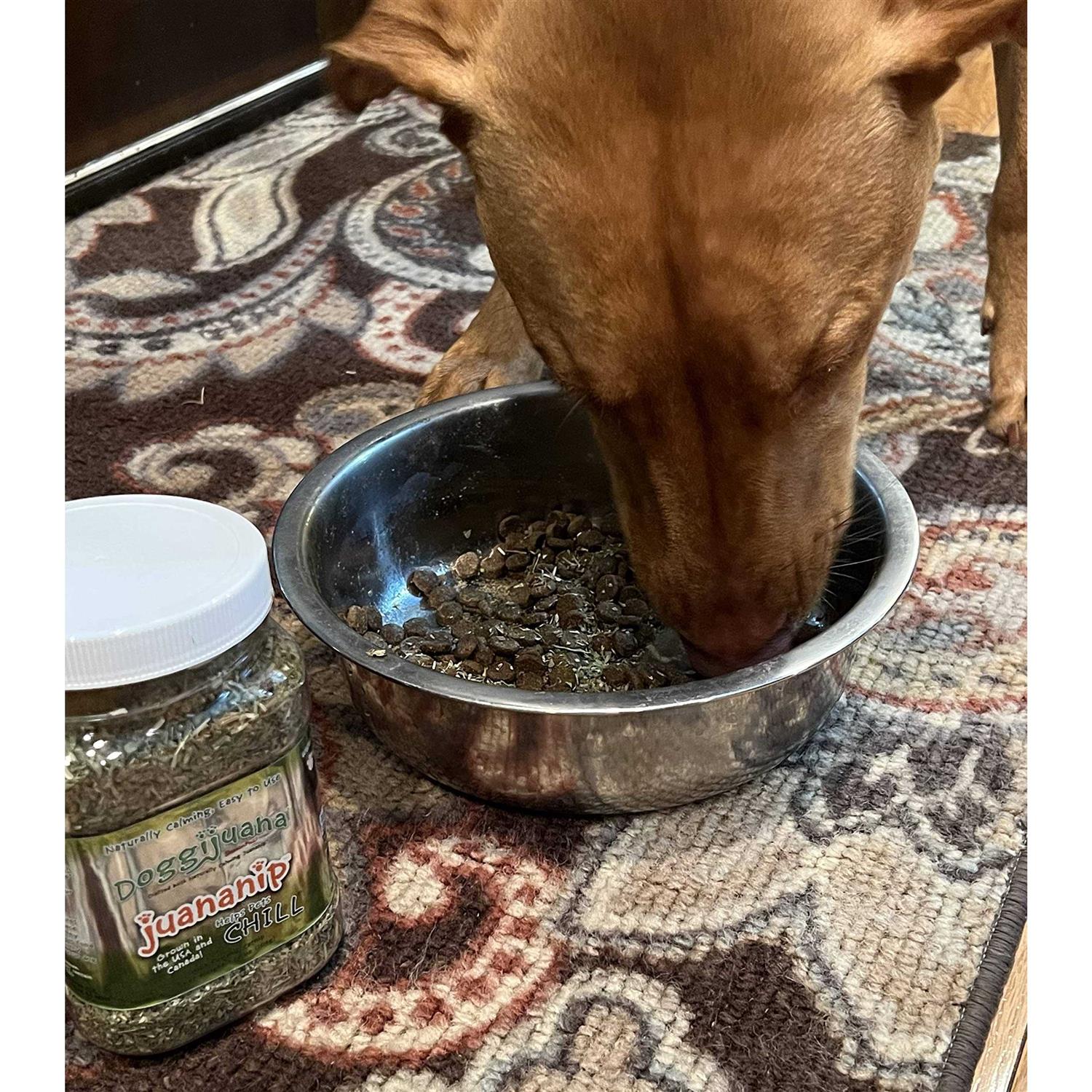 Doggijuana Juananip 3.67-oz jar - Healthber