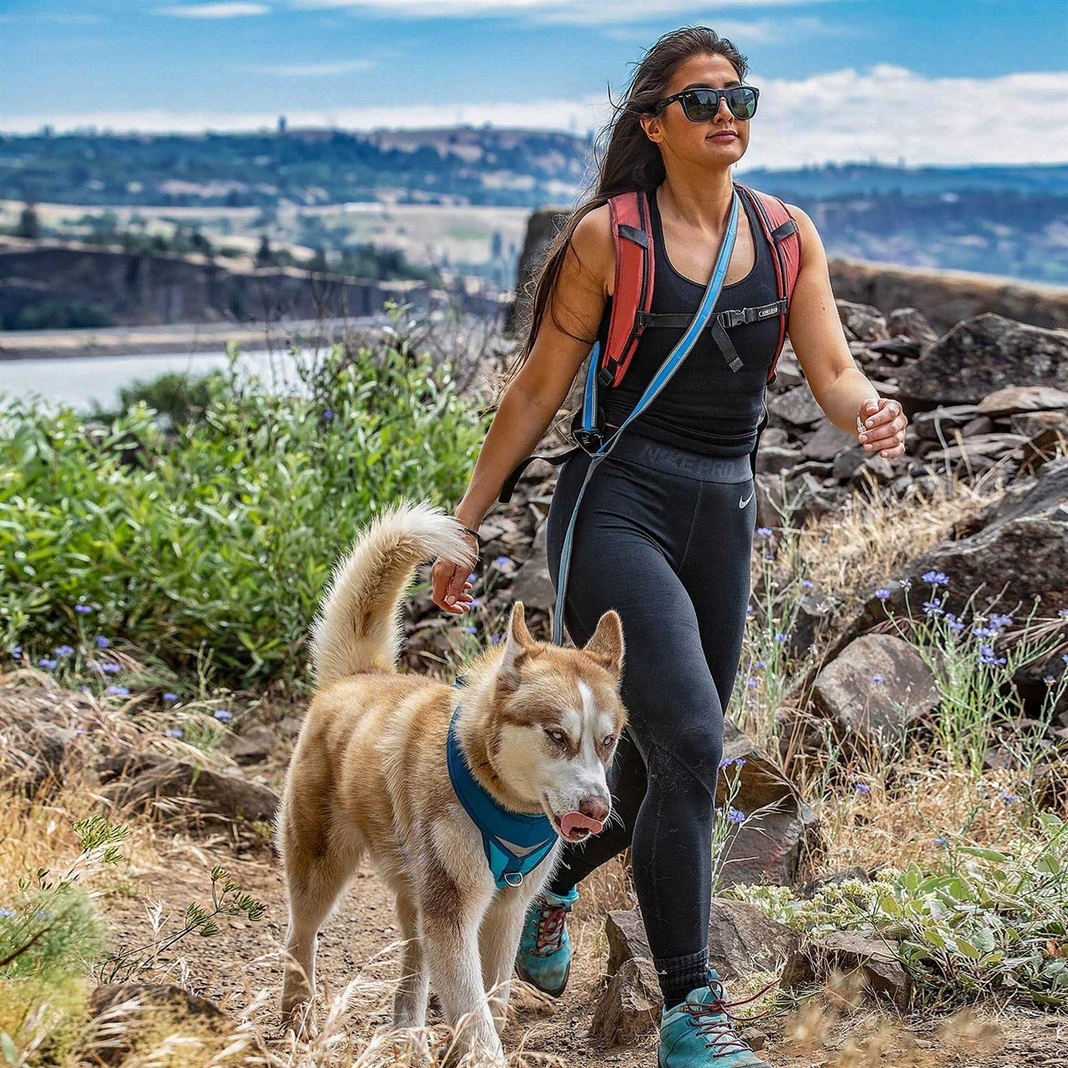 Kurgo Quantum Dog Leash - Healthber