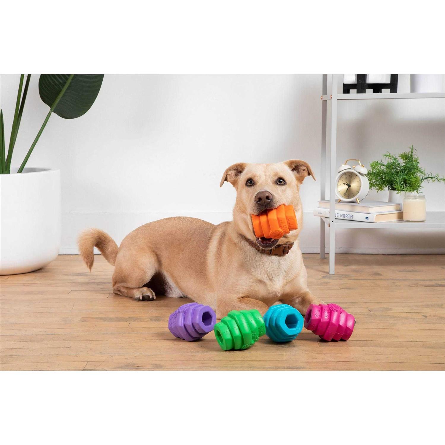 Project Hive Pet Company Dog Chew Toy - Healthber