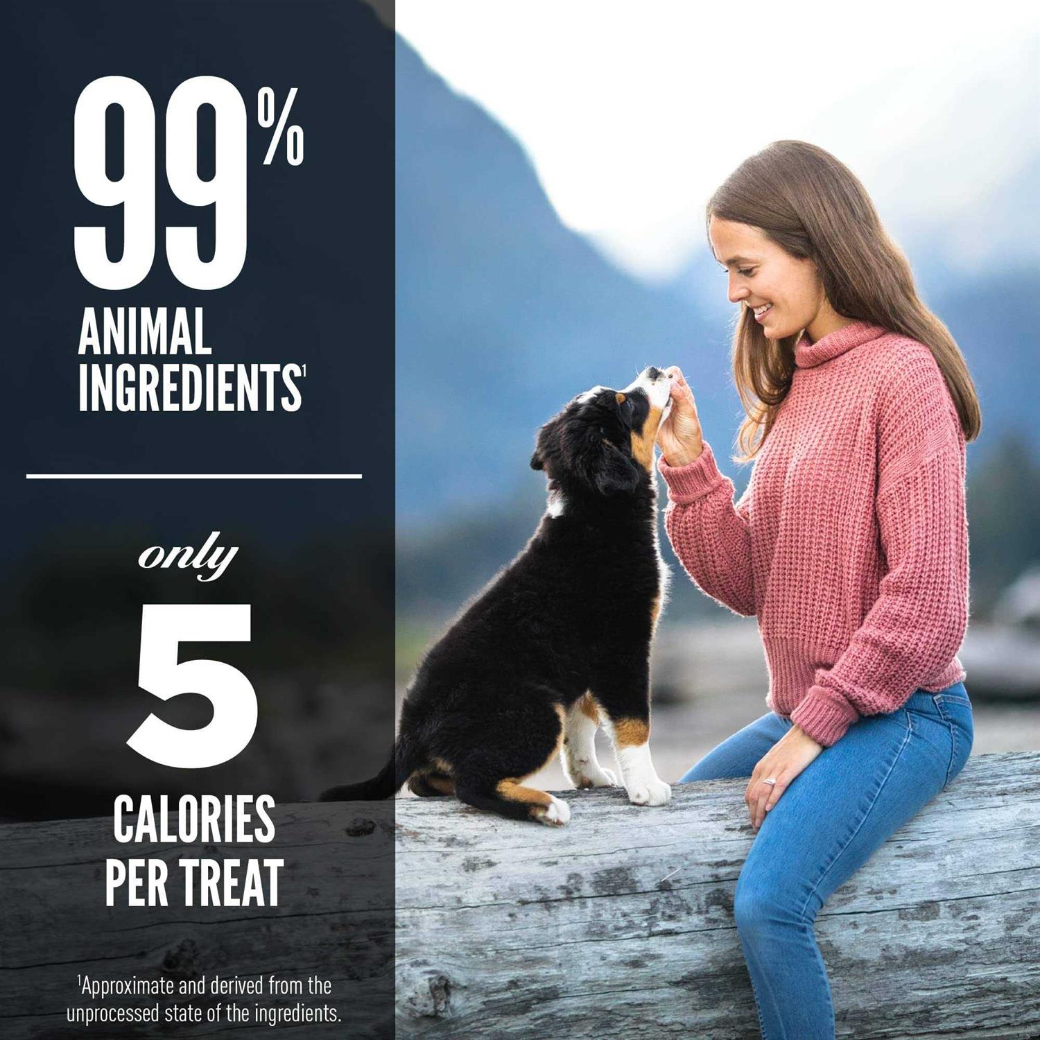 Orijen Freeze Dried Dog Treats - Healthber