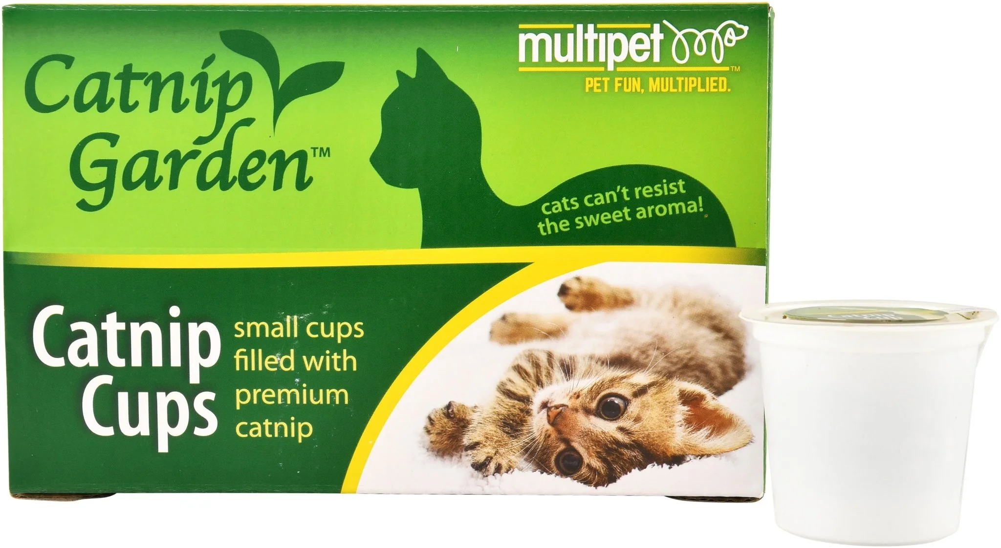 Catnip Garden Catnip - Healthber