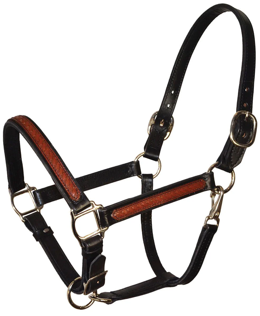 Perri's Leather Overlay Halter, Black/Brown - Healthber