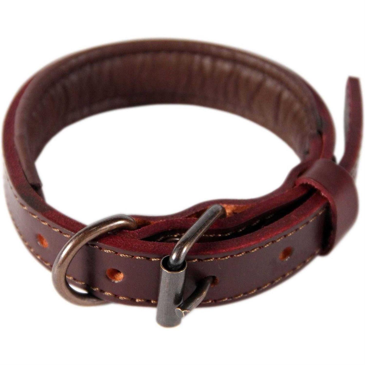 Logical Leather Padded Dog Collar Best Full Grain Genuine Leather Collar - Healthber