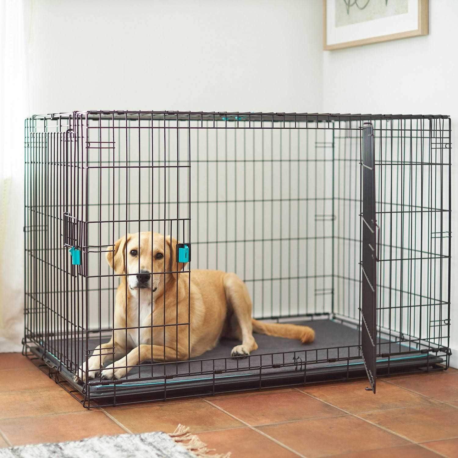 Frisco Enhanced Lock Double Door Fold Carry Wire Dog Crate Mat Kit - Healthber
