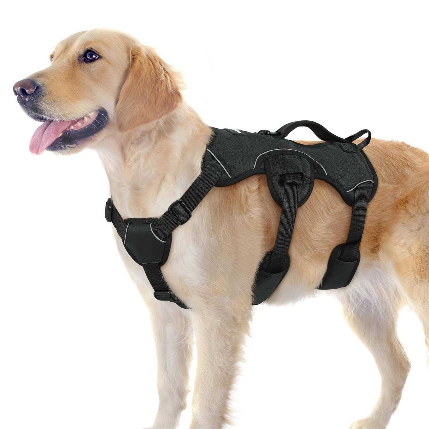rabbitgoo Dog Harness No Pull Pet Harness with 2 Leash Clips Adjustable Soft Padded Dog Vest - Healthber