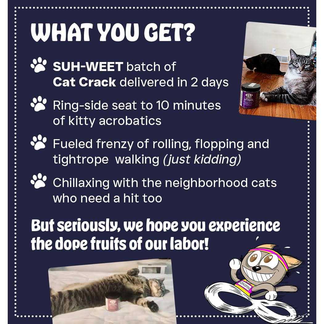 Cat Crack Catnip Blend Cats - Healthber