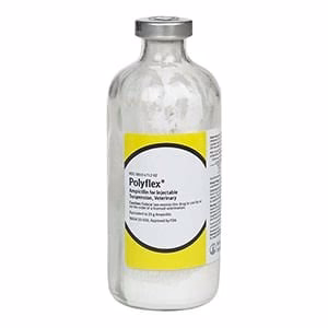 Polyflex (ampicillin) Injection for Dogs, Cats, & Cattle, 25 gm x 200 mL - Healthber