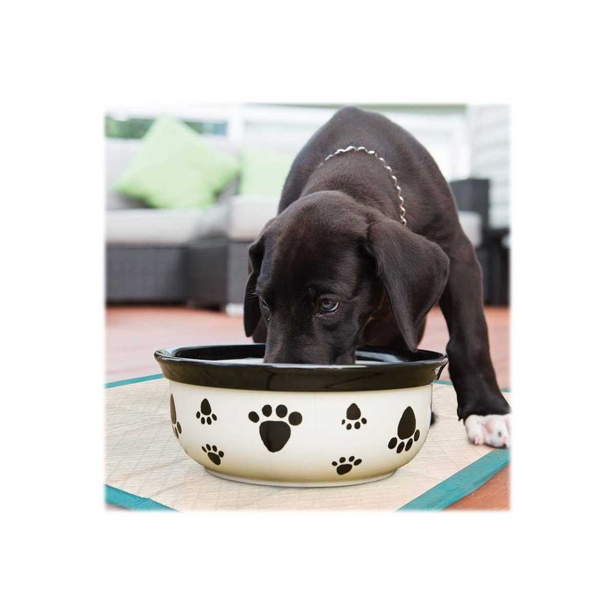 Simple Solution Dog Training Pads - Healthber