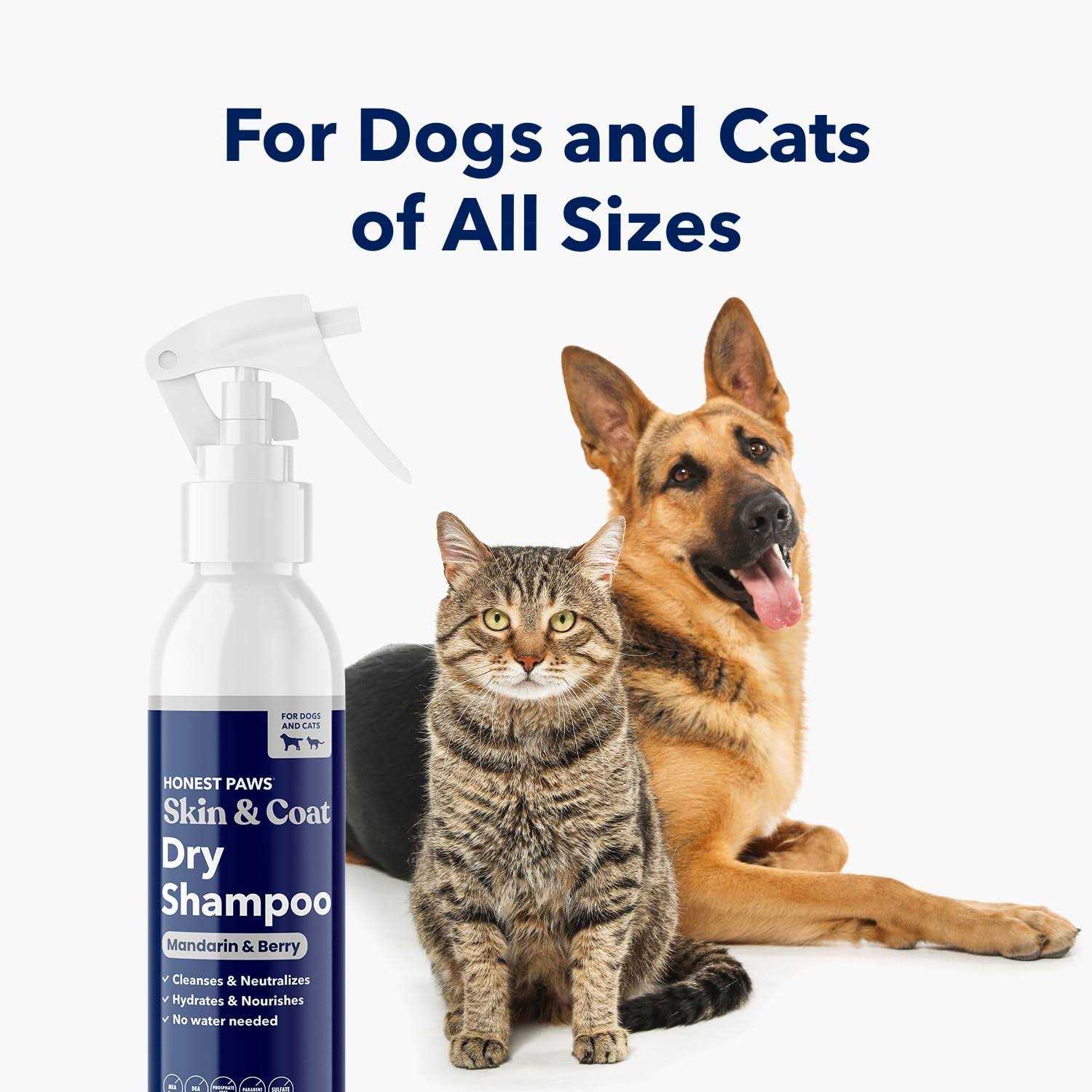Honest Paws Dog Dry Shampoo Waterless No Rinse Foaming Formula Reducing Itch Cleanse Hydrate Nourish Dry Skin - Healthber