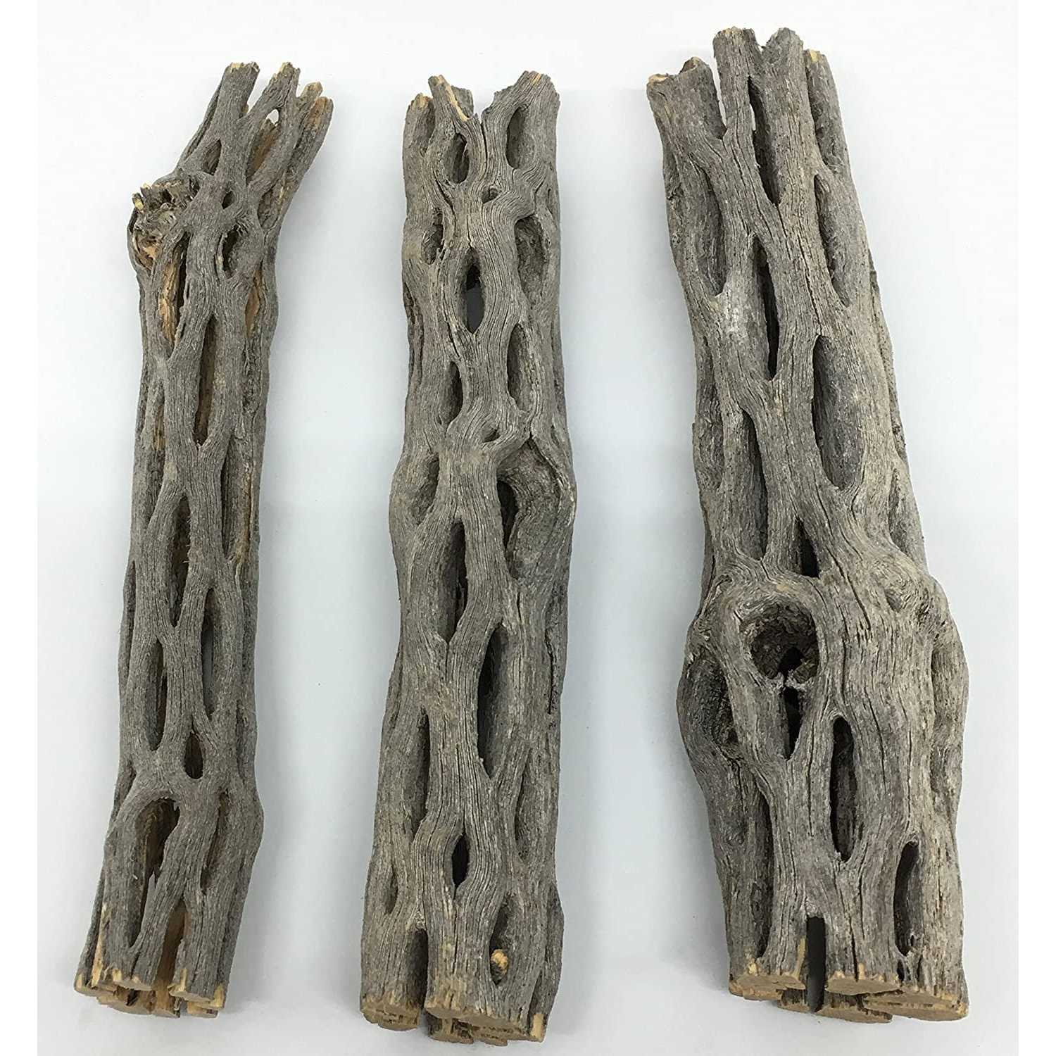 Awesome Aquatic Natural Cholla/Choya Wood 3 Pieces 6 for Shrimp Habitat and Food Treat Hermit Crabs Plecos Aquarium Decoration Lowers pH Hideouts and - Healthber