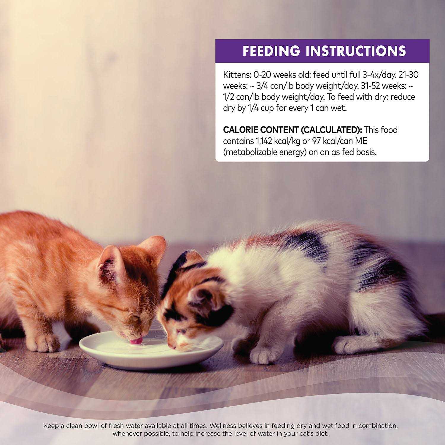 Wellness Cat Food - Healthber