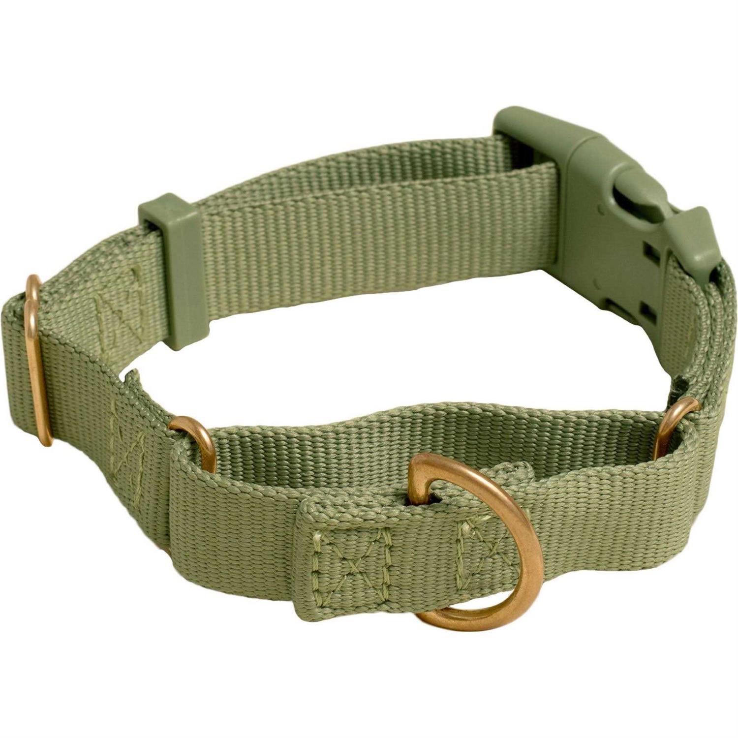 Awoo Marty Martingale Dog Collar - Healthber
