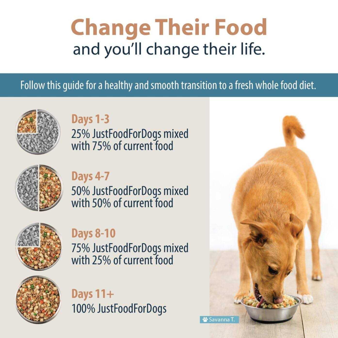 JustFoodForDogs Renal Support Low Protein Diet - Healthber