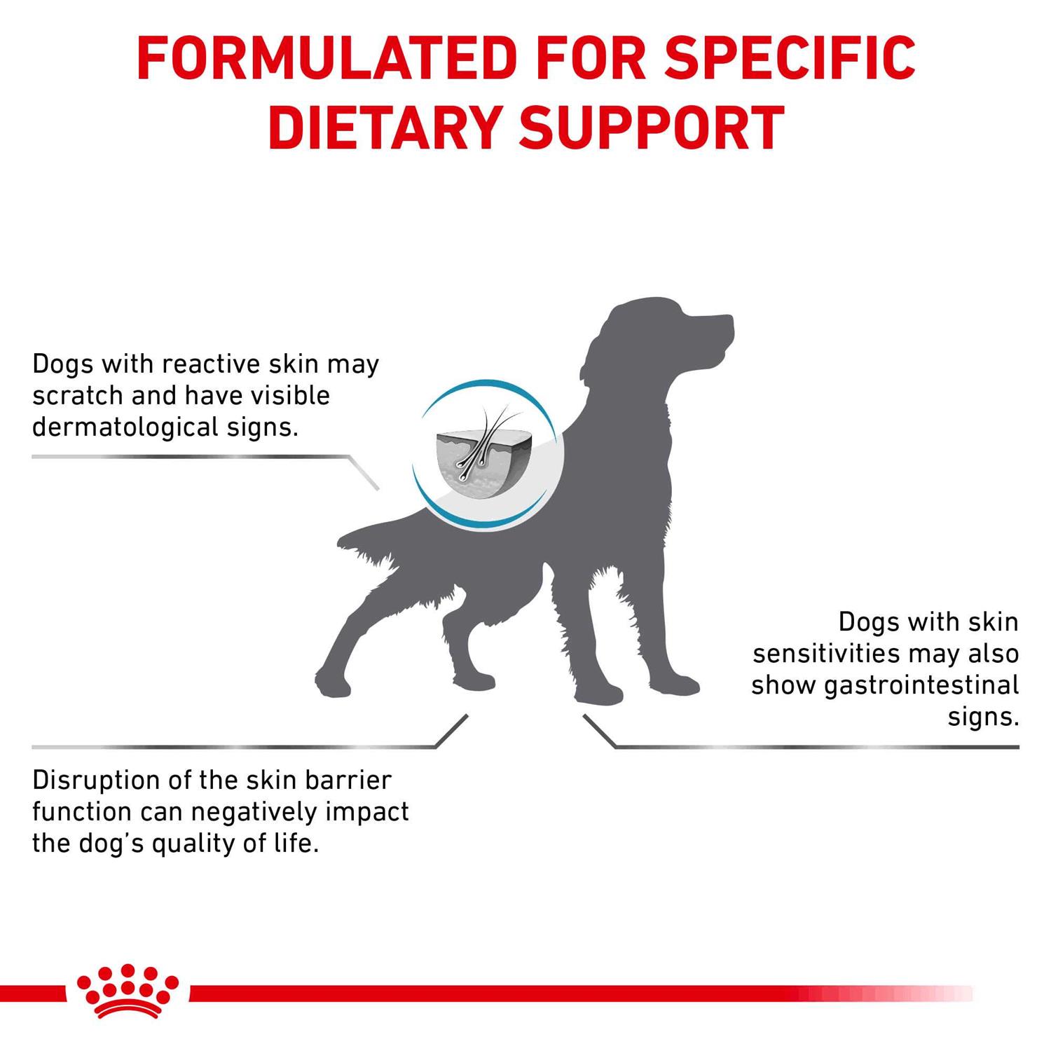 Royal Canin Veterinary Diet Skin Support Dry Dog Food - Healthber