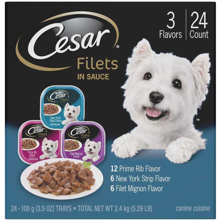 Cesar Filets in Gravy Variety Pack Wet Dog Food Adult - Healthber