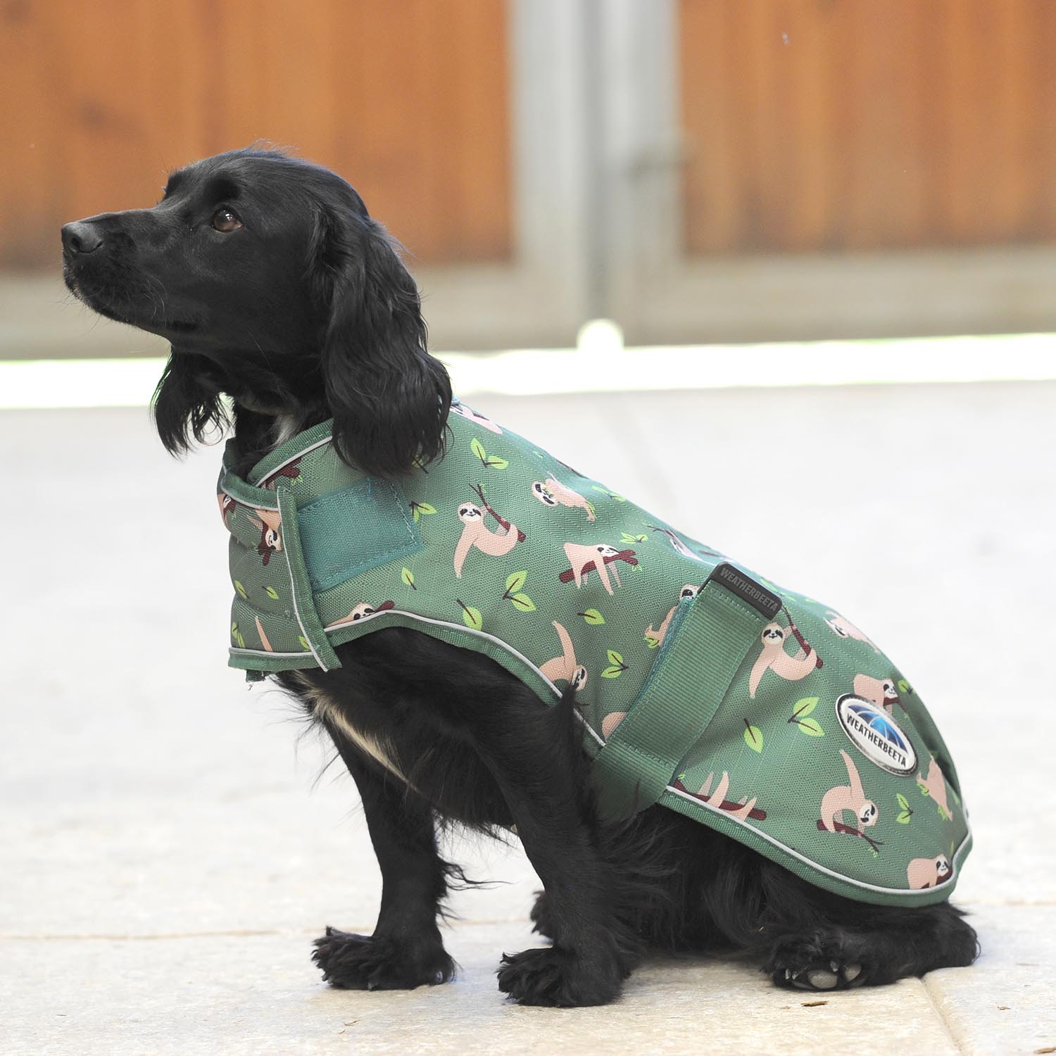 WeatherBeeta ComFITec Premier Free Parka Dog Coat, Sloth Print - Healthber