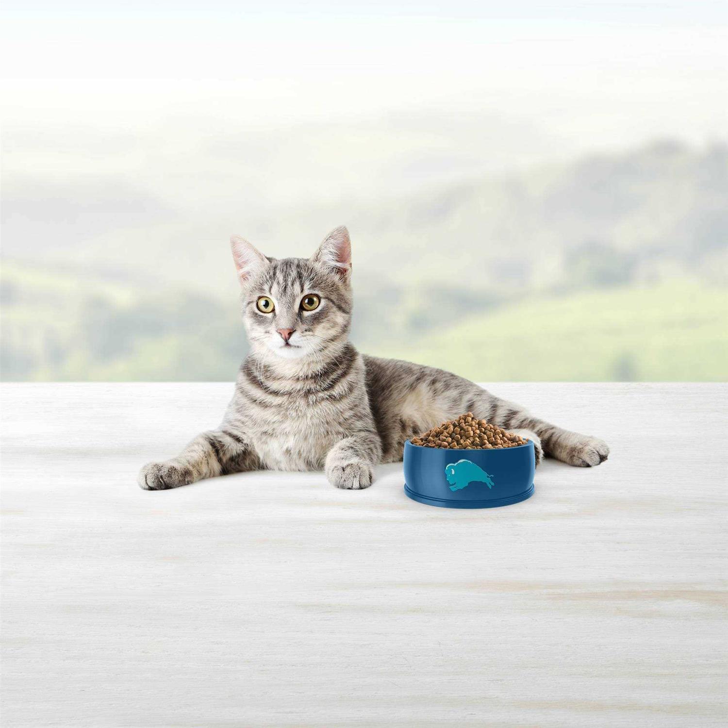 Blue Weight Control Adult Cat Dry Food - Healthber