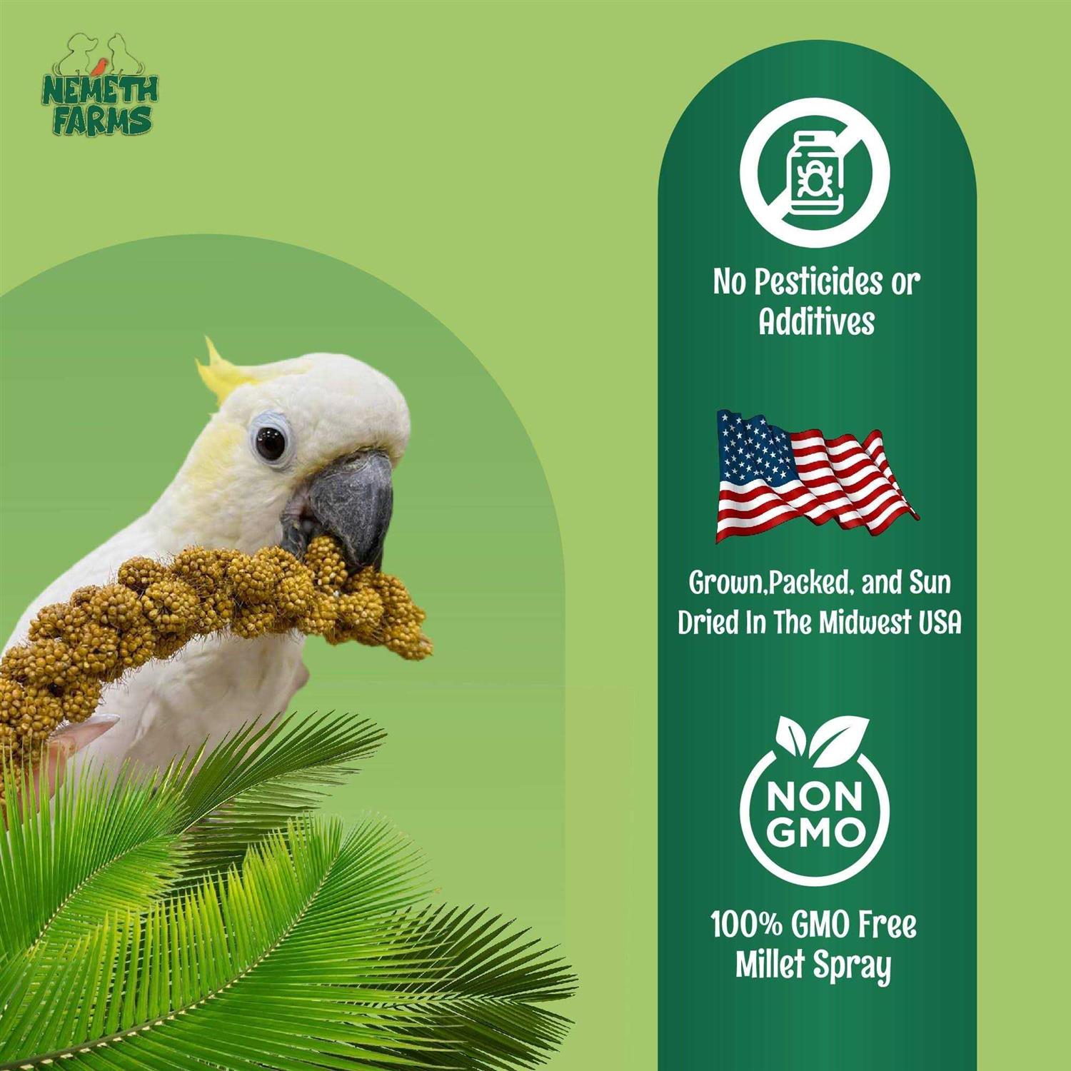 Nemeth Farms Worlds Freshest Sun-Dried Spray Non-GMO and Pesticide Free - Healthber
