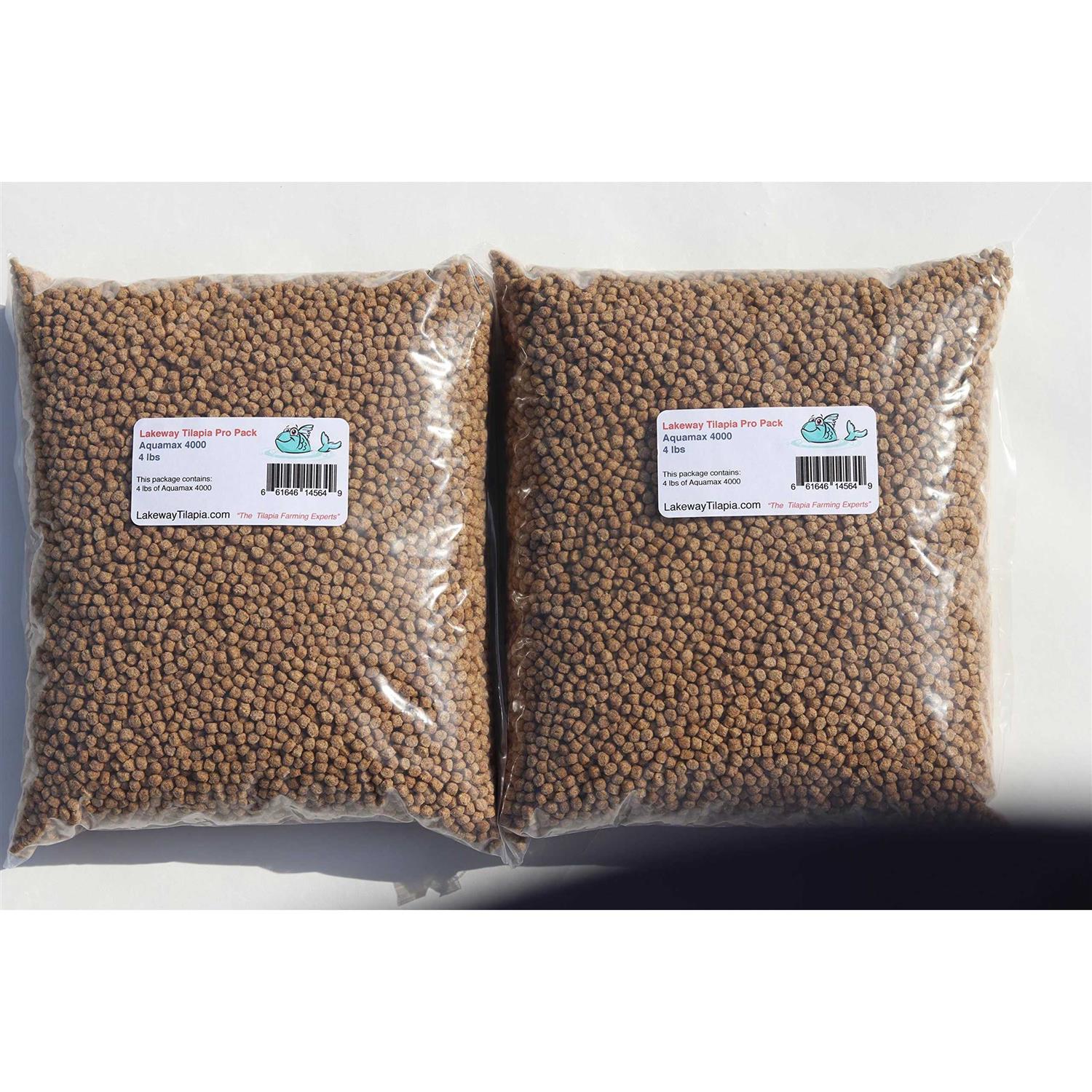 Lakeway Tilapia Catfish Food - Healthber