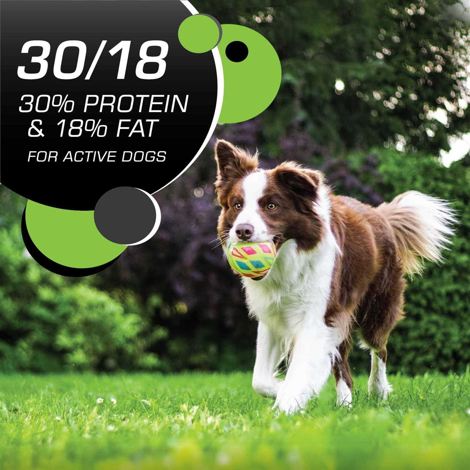 IAMS Proactive Health Active Chicken Turkey Dry Dog Food - Healthber