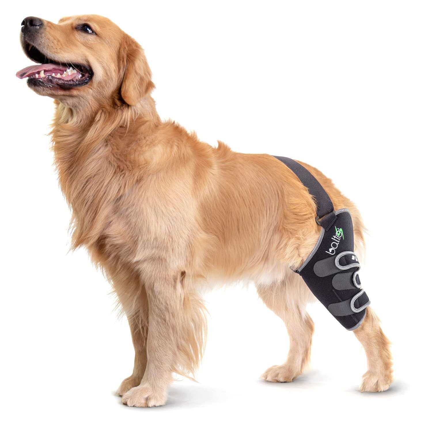 Balto Sport Agile CCL Brace Knee Support for Dogs Soft - Healthber