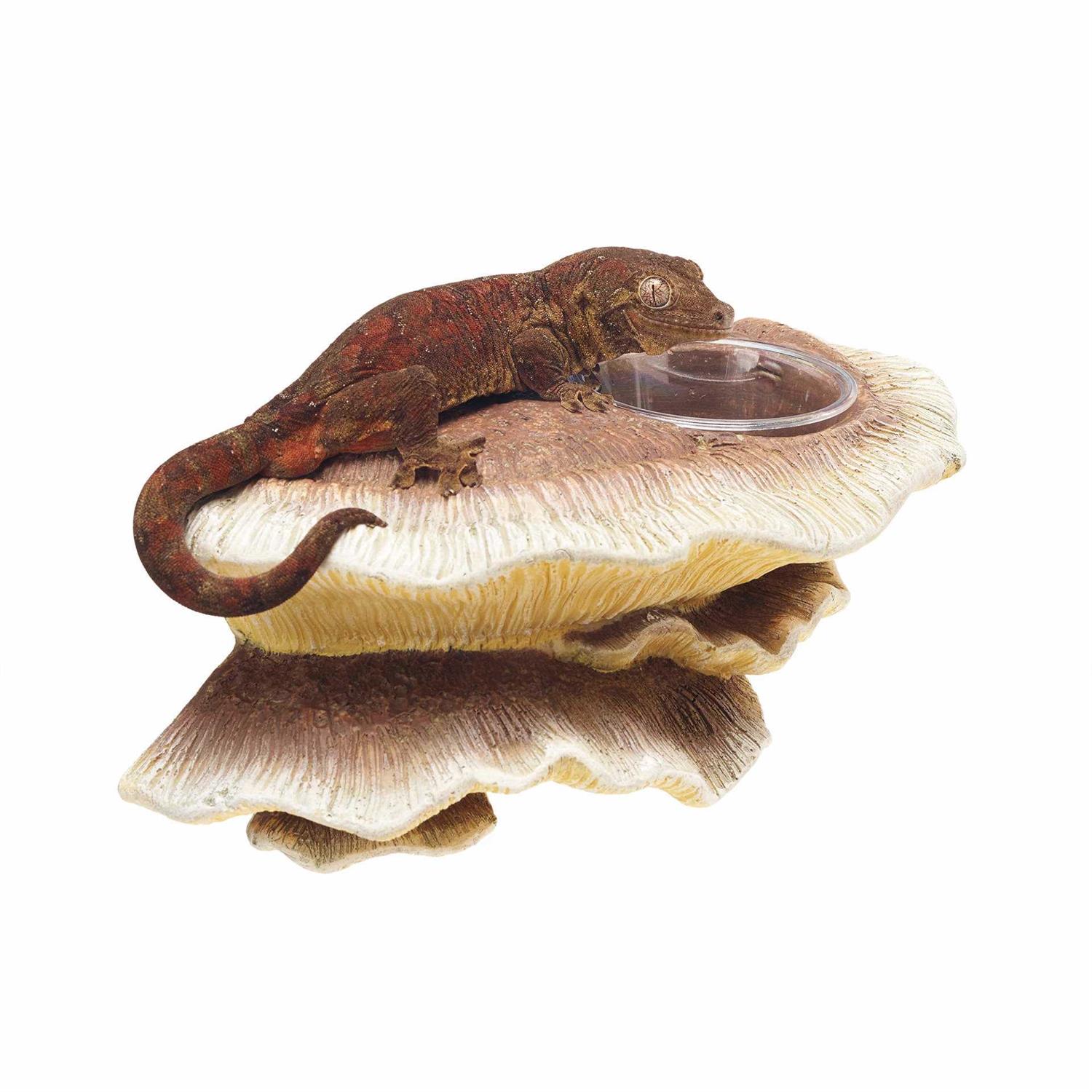 Zilla Vertical Mushroom Feeding Ledge - Healthber