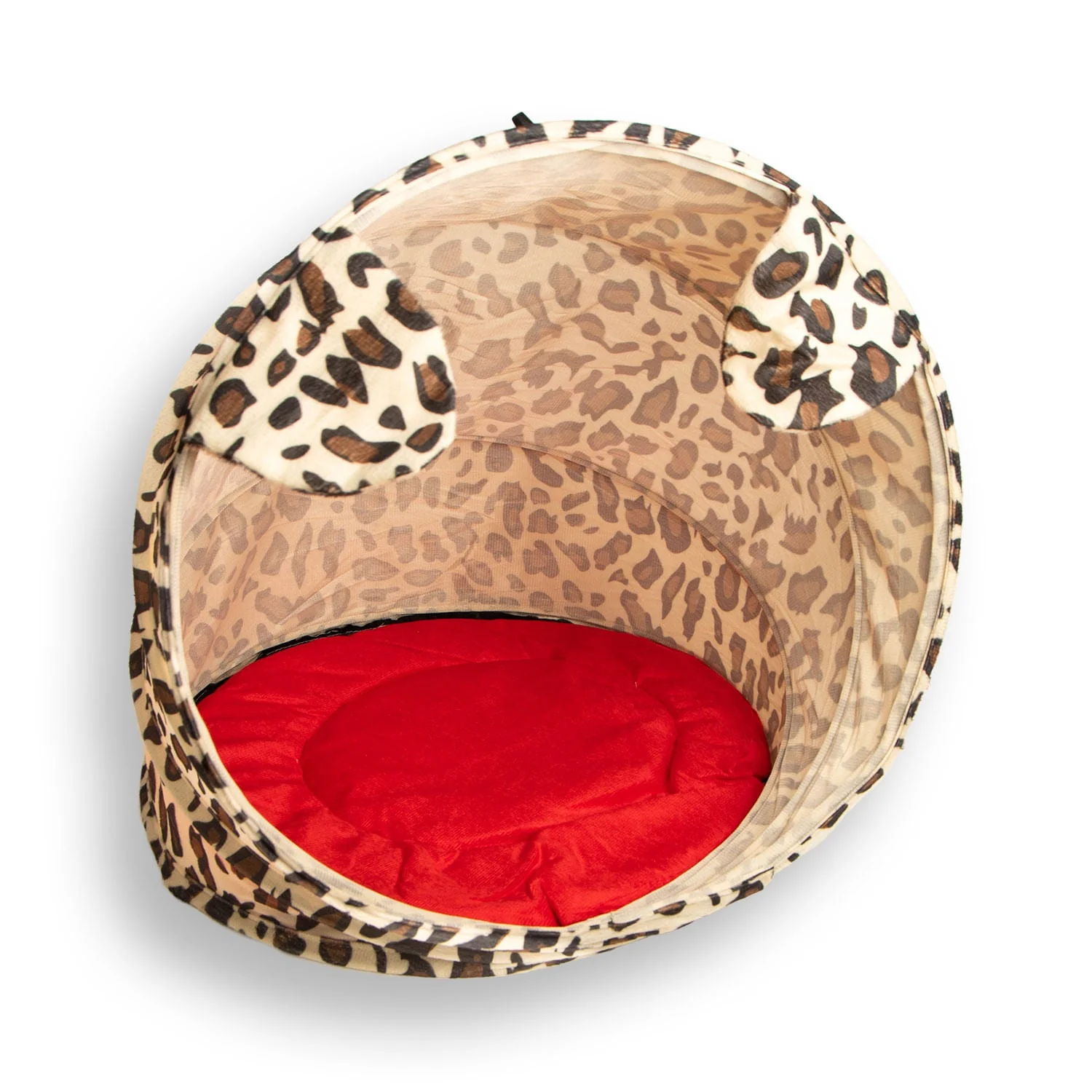 Kitty Cabana - Healthber